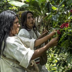 Wir unterstützen Kaffee Kogi – Kaffee mit Sinn